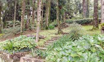 Imagem 3: GRAMADO - Padrão - Planalto