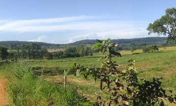 Imagem 2: Fazenda a venda de 6 Alqueires no Município de Piracanjuba