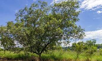 Imagem 3: Lote de 2.000,15m², Condomínio Residencial Vila Arcádia, Lagoa Santa/MG - Cód. 116