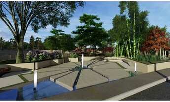 Imagem 5: Lotes na BR 316 - bosque das Orquídeas