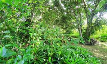 Imagem 7: Casa para venda em condomínio,com 298 m2 construída em um terreno com 1250 m2