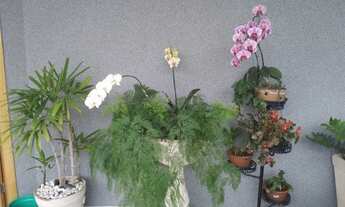 Imagem 3: Casa Residencial