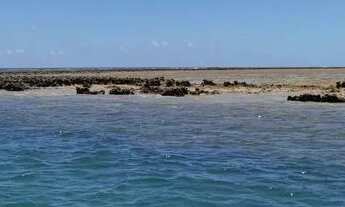 Imagem 2: Terrenos em venda maragogi