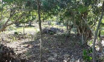 Imagem 2: 3 lotes e meio (1.050 m2) em Guriri, bairro Mariricu