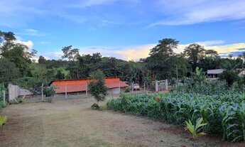 Imagem 7: Chacara em bonfinopolis