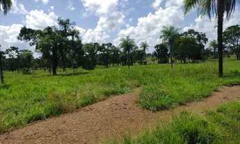 Imagem: Faz 142 Alq 110 de pasto só 109 mil o Alqueires