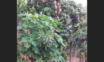 Imagem 3: SITIO DE 2ha A 10 KM DE MONTES CLAROS