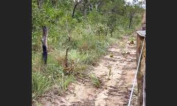 Imagem 3: VENDO FAZENDA 116 ALQUEIRES