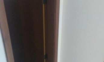 Imagem 3: Casa para aluguel com 74 metros quadrados com 3 quartos em Fernão Dias - Belo Horizonte