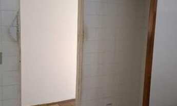 Imagem 5: Tocantins (Pronto