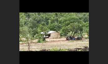 Imagem 7: VENDO FAZENDA 116 ALQUEIRES