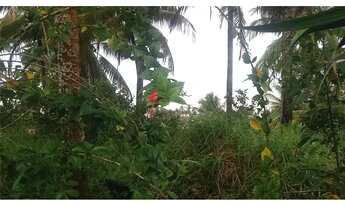 Imagem 4: Terreno À VENDA - ÁREA 1.680M2 - JAIRY- Zona Sul de Ilhéus