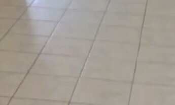 Imagem: Aluguel de apartamento