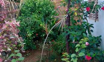 Imagem 6: Vende-se casa Casa com 2 dormitórios