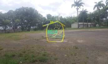 Imagem 7: Vendo terreno 12.000m2 plano no curado