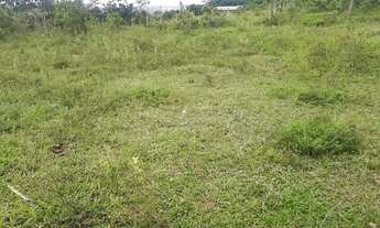 Imagem: Terreno 20x20 plano Igarassu Manjope