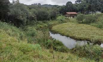 Imagem 5: Vende-se Chácara com venda por R$800.000