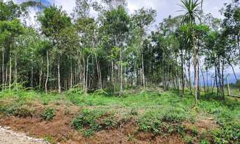 Imagem 2: Chacara belas Áreas Roseira Colombo/ Campina Grande do Sul