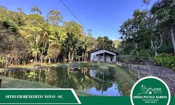 Imagem: Sítio em Benedito Novo SC