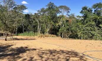 Imagem 5: Vendo fazendo próxima de Cocalzinho GO