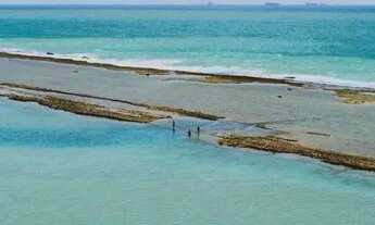 Imagem 6: Apartamento 3 Quartos para Venda em Ipojuca, Muro Alto, 3 dormitórios, 1 suíte, 1 banheiro