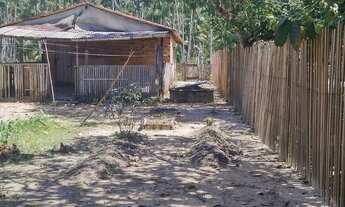 Imagem 6: Vende-se sítio com casa pra mora