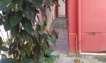 Imagem 7: Amplo apartamento com 3/4 +dependência , 145 metros quadrados com 3 quartos em Barra - Sal