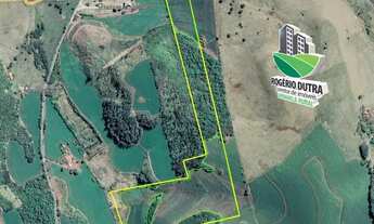 Imagem 5: 8,5 Alqueires a venda em Cornélio Procópio- BR-369