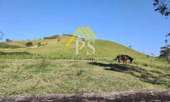 Imagem 4: Fazenda com 17,5 Alqueires Mineiros pronta em Rio Bonito - Venha conferir!