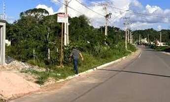 Imagem 3: Terreno - Estrada do pindobal/Alter do chão