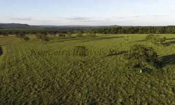 Imagem 6: Fazenda com 100 alqueires em Itatinga - SP (Nogueira Imóveis Rurais