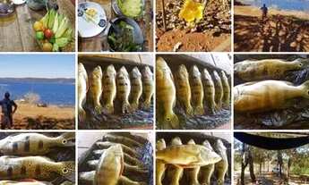 Imagem 6: Rancho na ilha do Mangabal