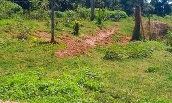 Imagem 3: Chácara 30.000 metros José Bonifácio