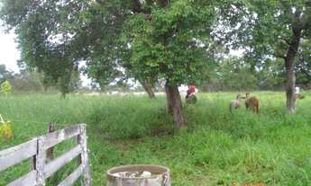 Imagem: Fazenda próximo a São Valério Tocantins