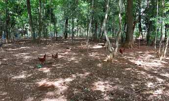 Imagem 5: Vendo chácara Chácara com venda por R$550.000