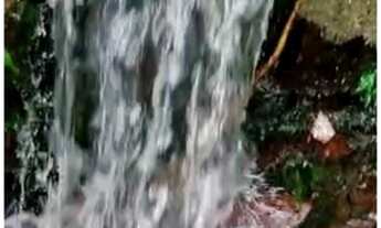 Imagem 2: Fazenda/Sítio/Chácara para venda com 15.000 m2 <br>Com casa boa de 140 m2