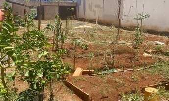 Imagem 2: Terreno Jardim brasilia 3 - 304 m²