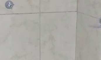 Imagem 4: Alugo casa Casa com 1 dormitório