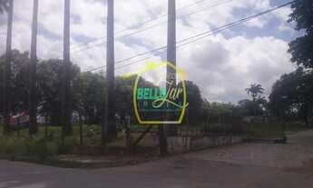 Imagem 2: Vendo terreno 12.000m2 plano no curado