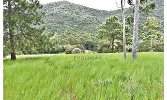 Imagem 5: Terreno 175.000 m² - Rio Vermelho - Florianópolis