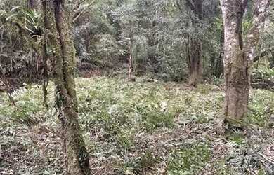 Imagem 3: Chácara com rio nos fundos