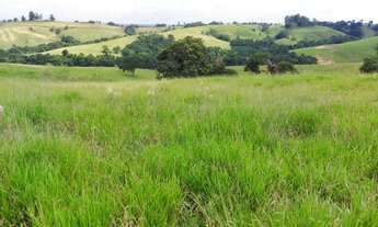 Imagem 7: Sitio Sorocaba Região 23 Alqueires