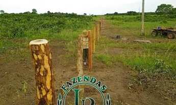 Imagem 3: Fazenda 83.5 Alqueires Vale do Araguaia