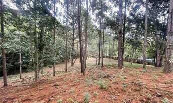 Imagem 5: 14 mil MTS quadrados pé no ribeirao juquitiba