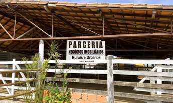 Imagem 6: Fazenda região de Curvelo 287 ha