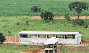 Imagem 4: Fazenda Produtiva à Venda em Tuiuti SP