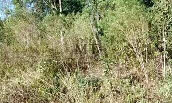 Imagem 4: Terreno bairro Joaneta, Picada Café.RS Ref.:103