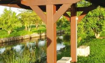 Imagem 3: Sítio em Conchal