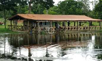 Imagem: CHÁCARA COM 10 HECTARES