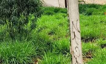 Imagem 2: Lote 360mt Igarapé